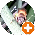 Martha O. profile picture